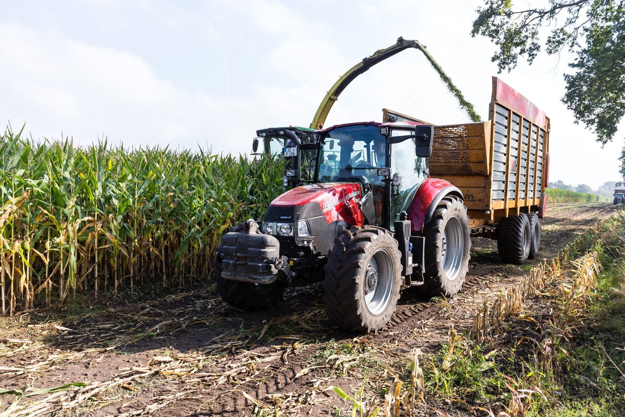 Bild 218 - Maisernte